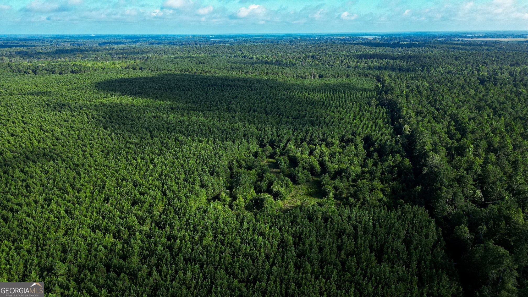 0 Newman Smith Road Bartow, GA 30413 - Photo 3 of 20 a view of an outdoor space and a lake view