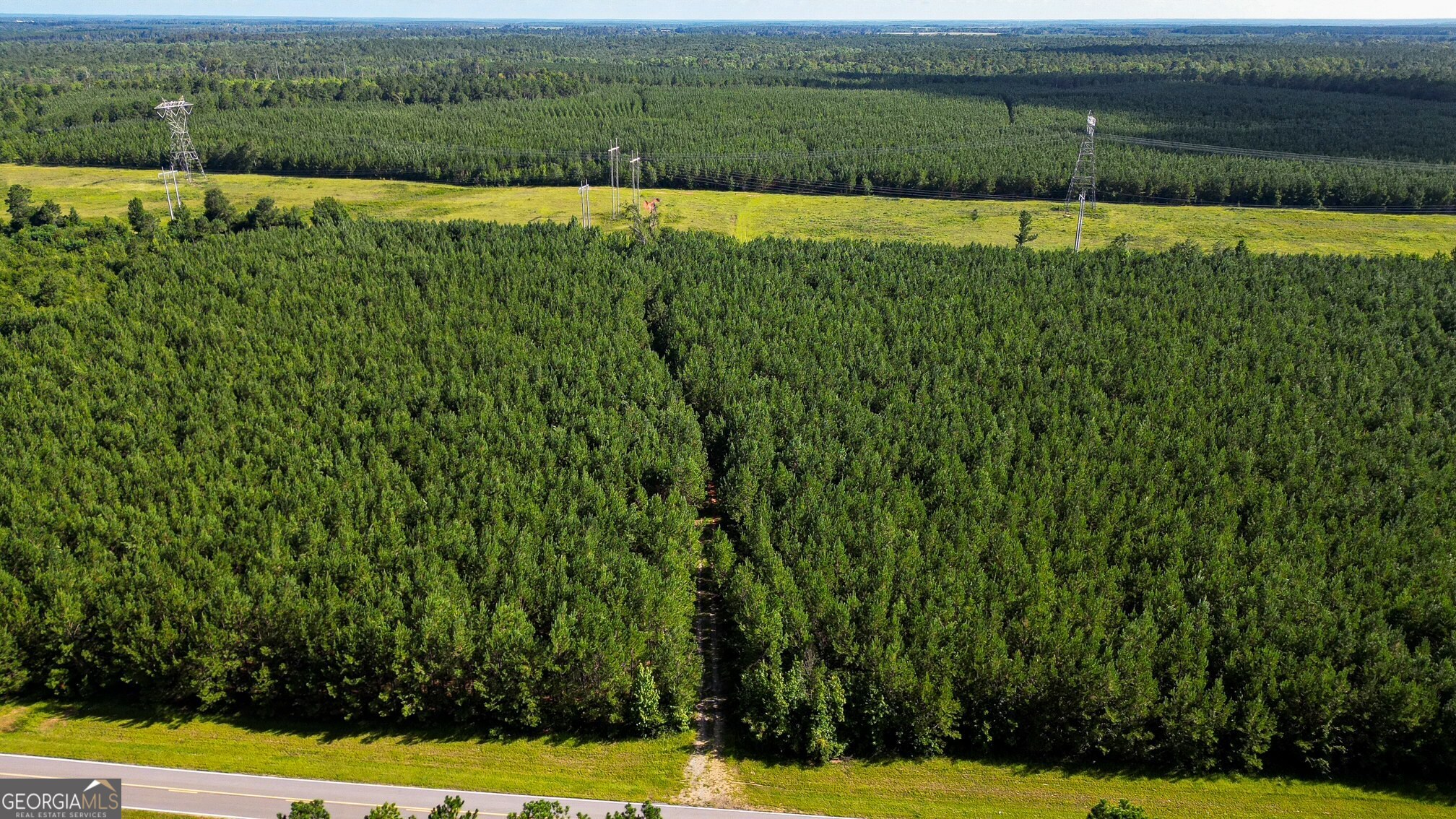 0 Newman Smith Road Bartow, GA 30413 - Photo 4 of 20 a view of a green field with an outdoor space