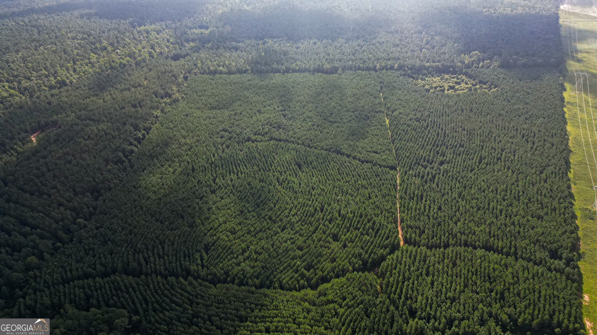 0 Newman Smith Road Bartow, GA 30413 - Photo 7 of 20 a view of a bathroom