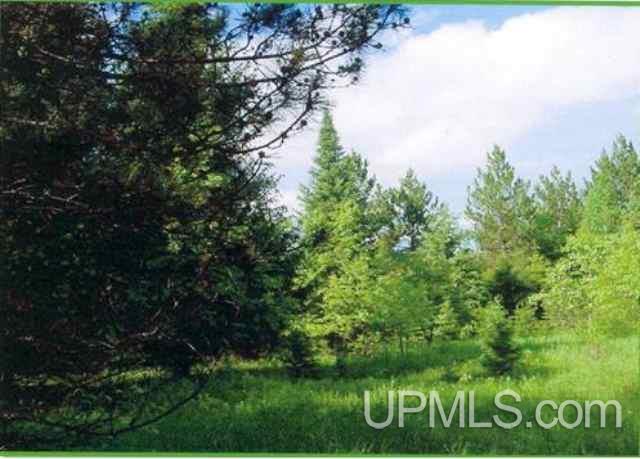 Tbd Koehmstedt Road, Unit 130 Hurley, WI 54534 - Photo 4 of 7