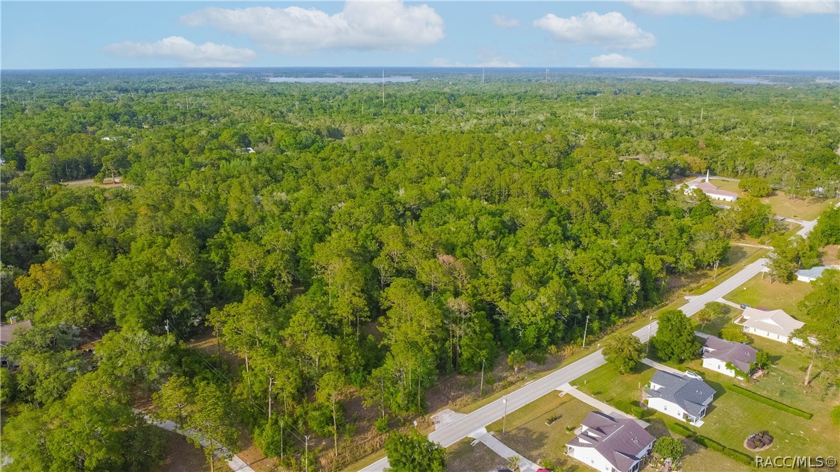 2665 East Steven Street Inverness, FL 34453 - Photo 6 of 10