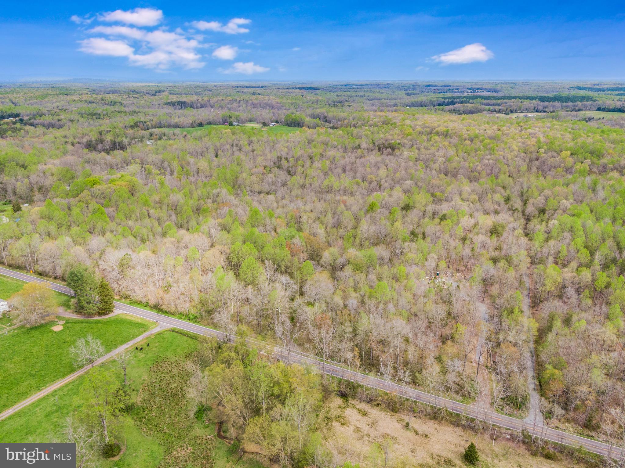 0 Mine Run Road Unionville, VA 22567 - Photo 1 of 8 Gallery Image 1