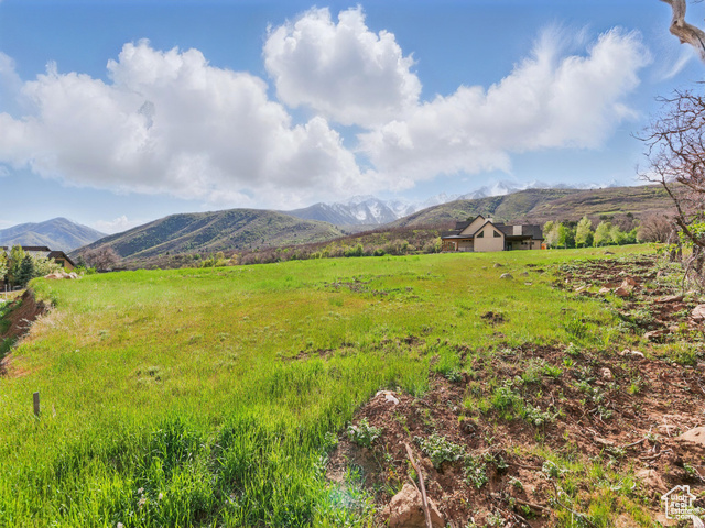 239 South Meadow Drive, Unit 10 Springville, UT 84663 - Photo 5 of 21