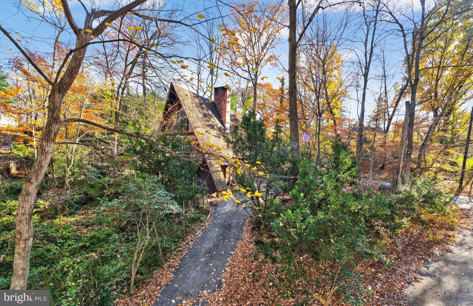 31 Hayward Court Takoma Park, MD 20912 - Photo 2 of 30 a view of a yard with plants and trees