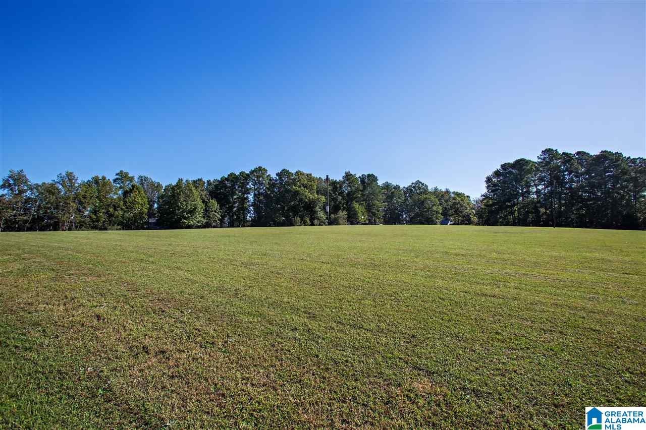 581 Fred Terry Road Locust Fork, AL 35097 - Photo 49 of 49