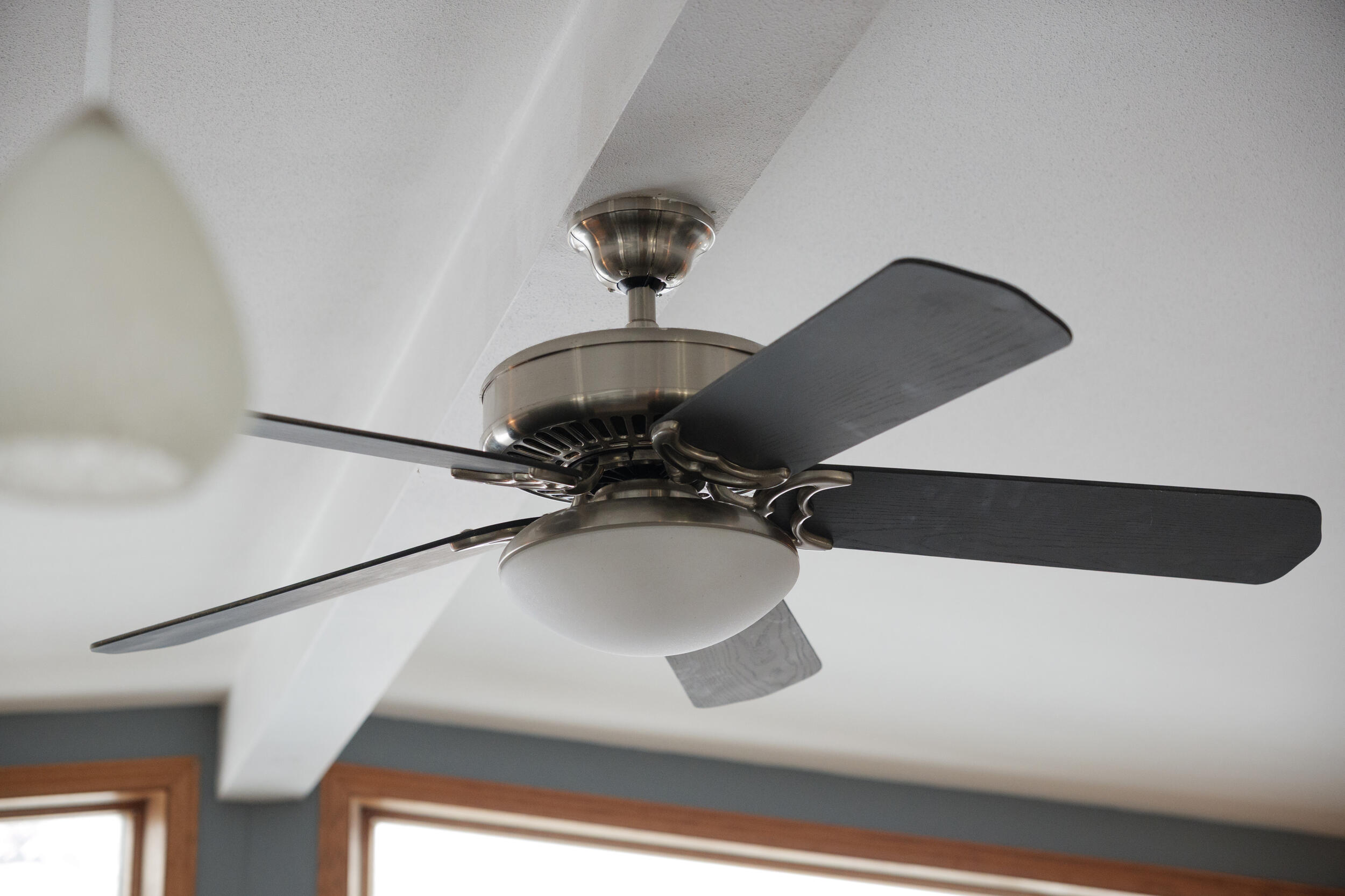 24012 64th Place Paddock Lake, WI 53168 - Photo 7 of 45 Ceiling Fans