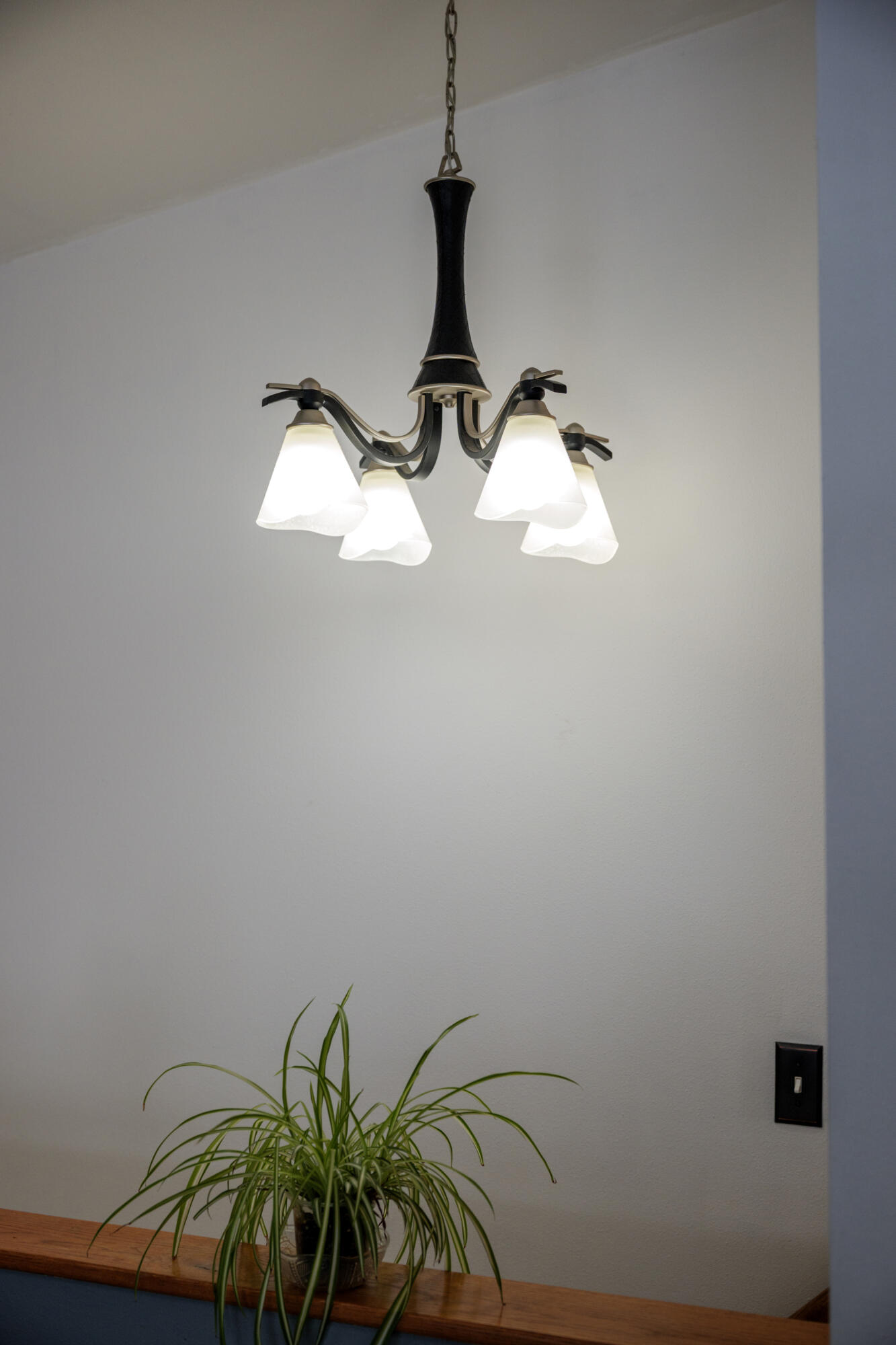 24012 64th Place Paddock Lake, WI 53168 - Photo 10 of 45 Updated Lighting