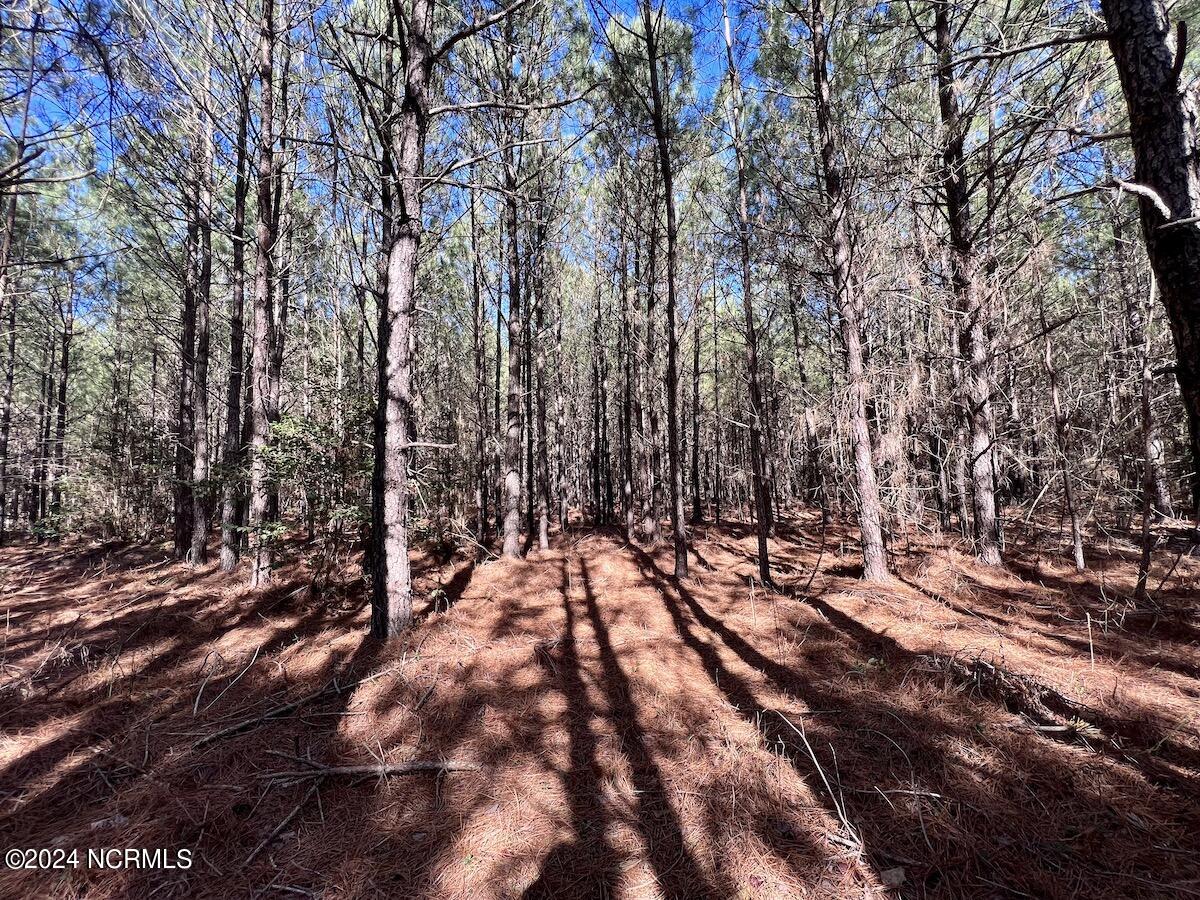 0 Rehoboth Church Road Jackson, NC 27845 - Photo 21 of 46 20
