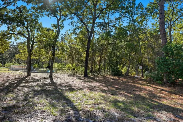 a house view with a backyard space