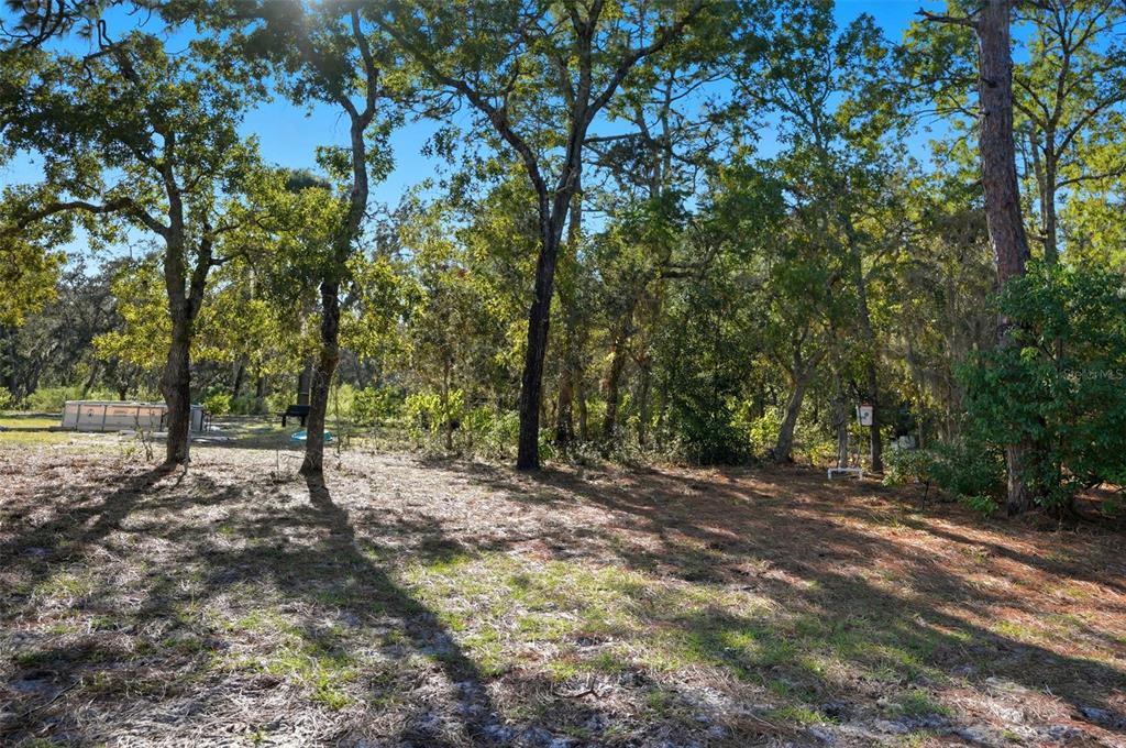 17539 Edwin Terrace Hudson, FL 34667 - Photo 32 of 38 a view of outdoor space with trees