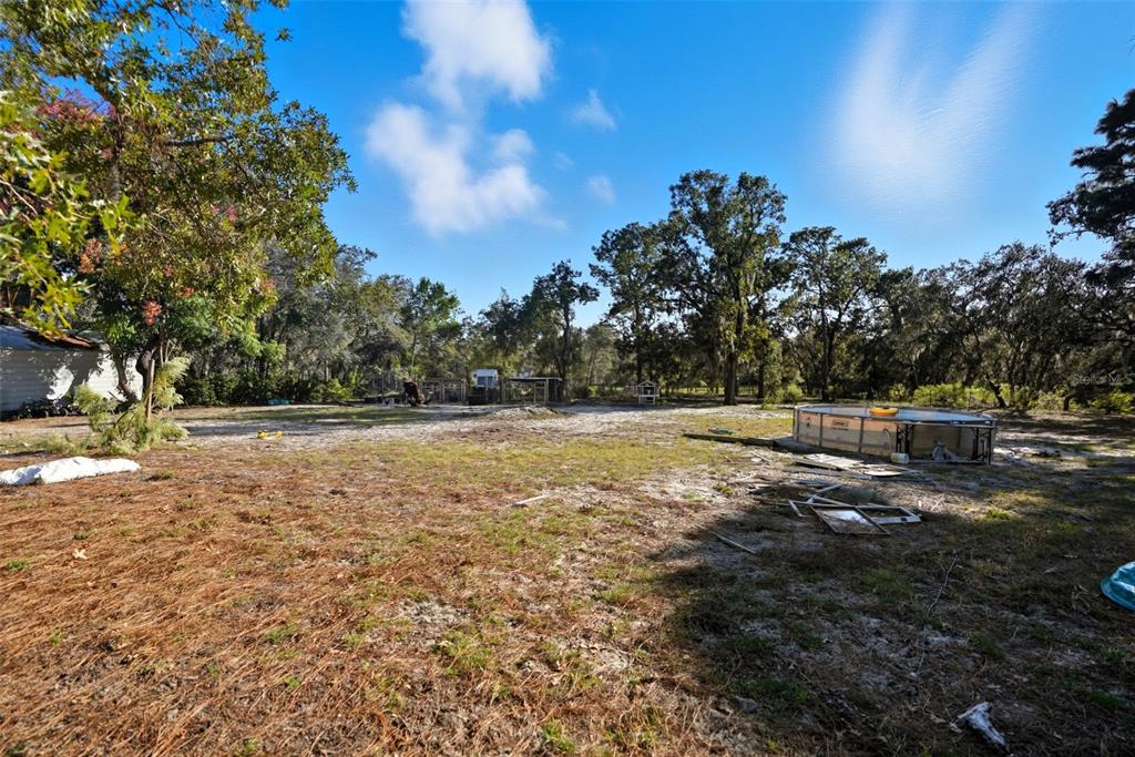 17539 Edwin Terrace Hudson, FL 34667 - Photo 35 of 38 a view of a yard with an trees