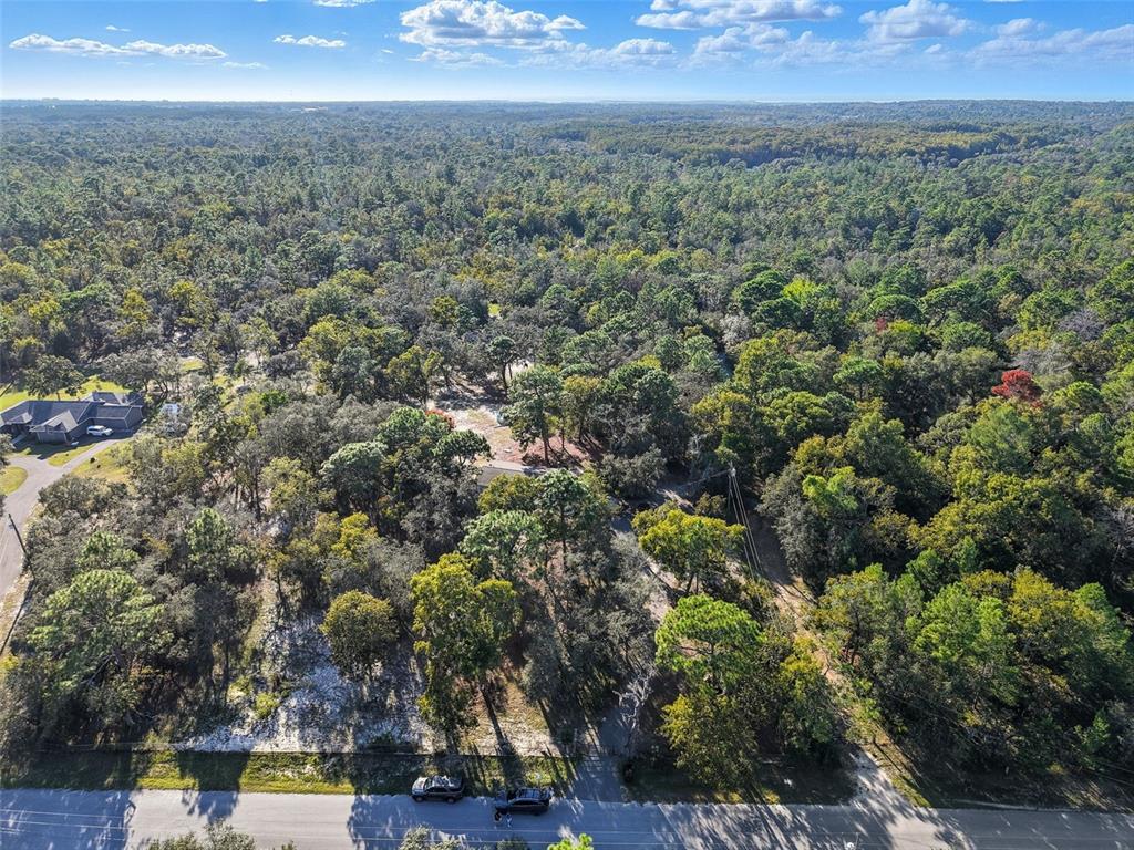 17539 Edwin Terrace Hudson, FL 34667 - Photo 5 of 38 a view of outdoor space and city view