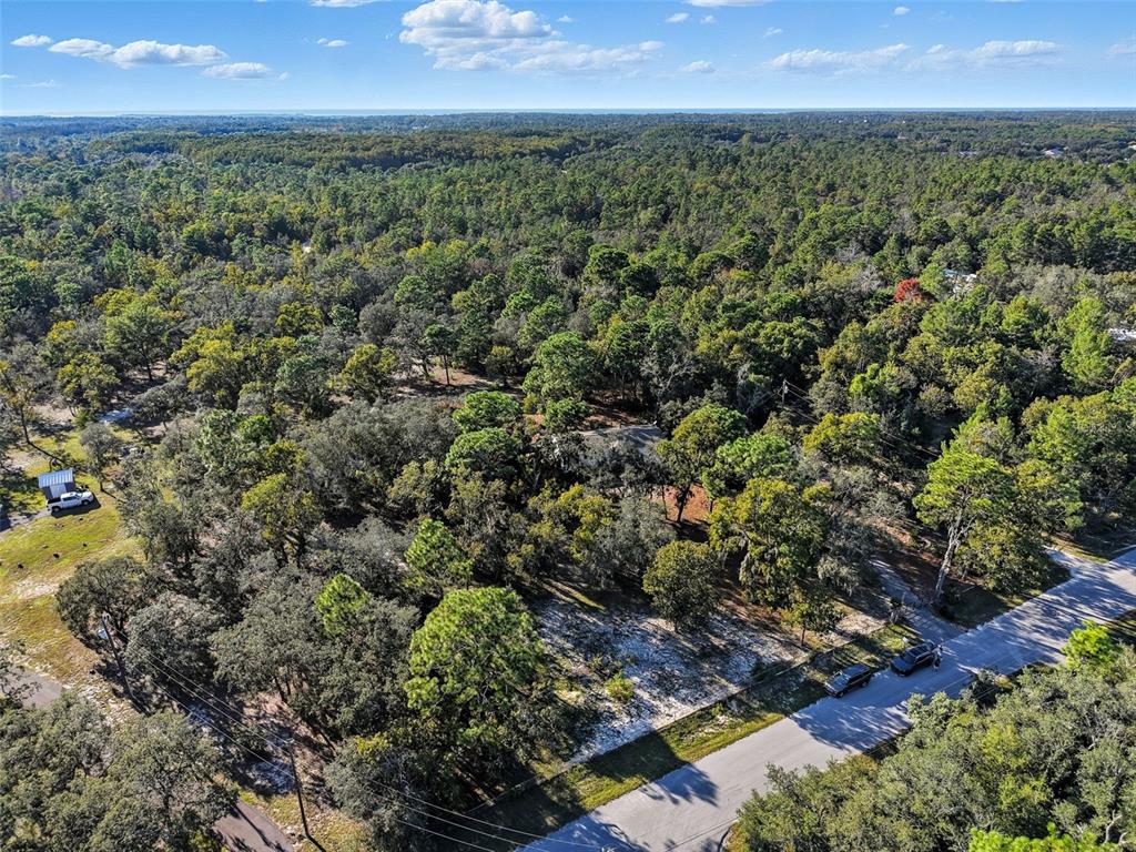 17539 Edwin Terrace Hudson, FL 34667 - Photo 10 of 38 an aerial view of residential houses with outdoor space and trees