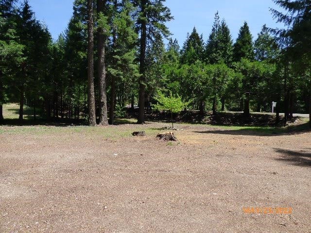 2324 Davis Place Road Mount Shasta, CA 96067 - Photo 15 of 18 Gallery Image 15