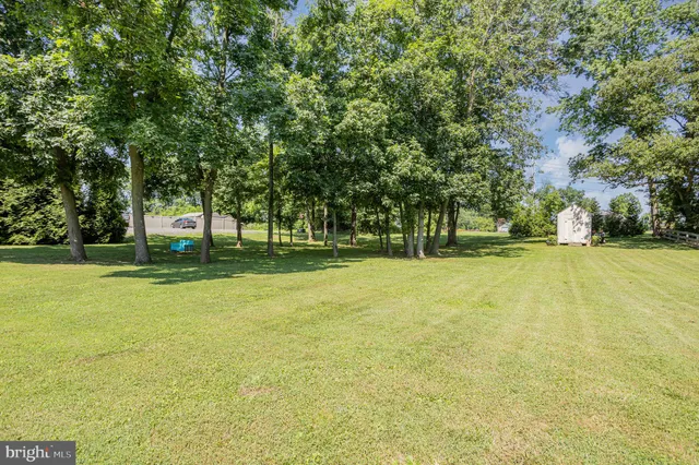 a view of green field