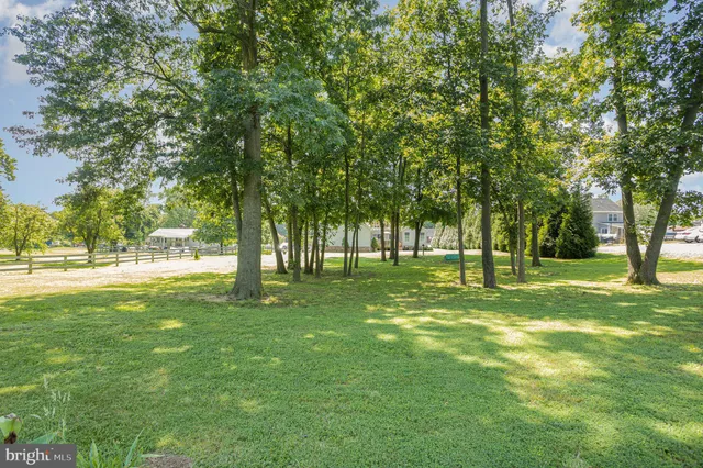 a view of park with trees