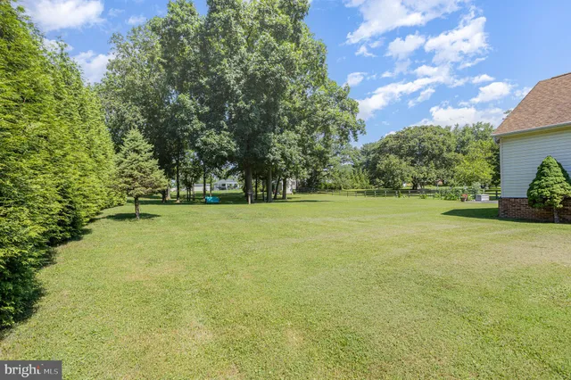 a view of a field with trees