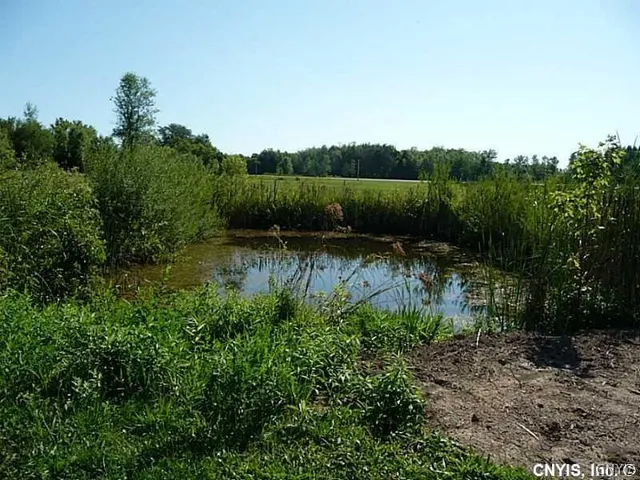 $29,900 | 0 Route 13 Canastota Ny 13032, Lenox, NY 13032