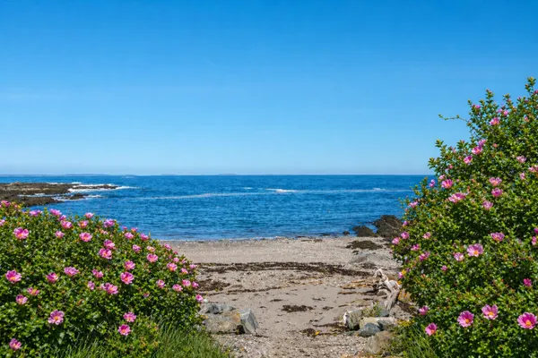 $16,500,000 | 19 Cunner Lane, Cape Elizabeth, ME 04107