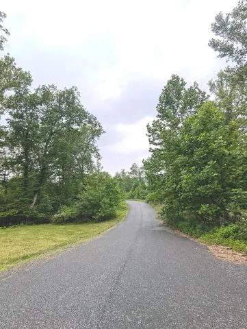 a view of a yard with a trees
