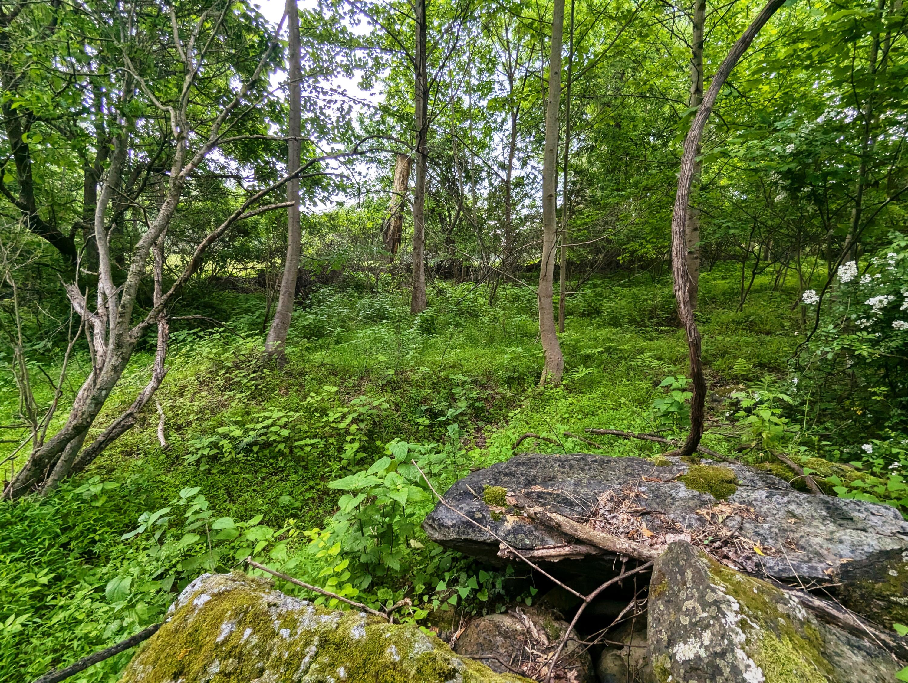211 Ravens Nest Road Stroudsburg, PA 18360 - Photo 2 of 3 a view of an outdoor space and a yard