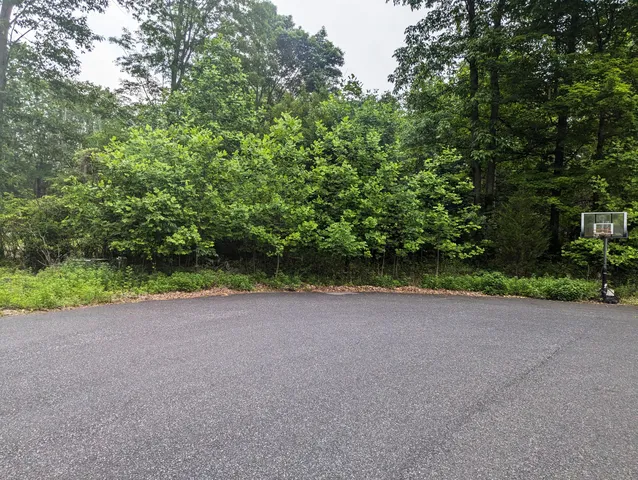 a view of a yard with plants and trees