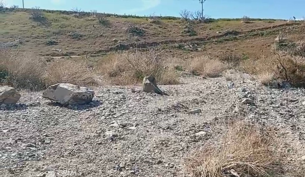 0 Vac/longview Rd/vic Murphys Road Juniper Hills, CA 93543 - Photo 11 of 20 a view of a dry yard with wooden floor