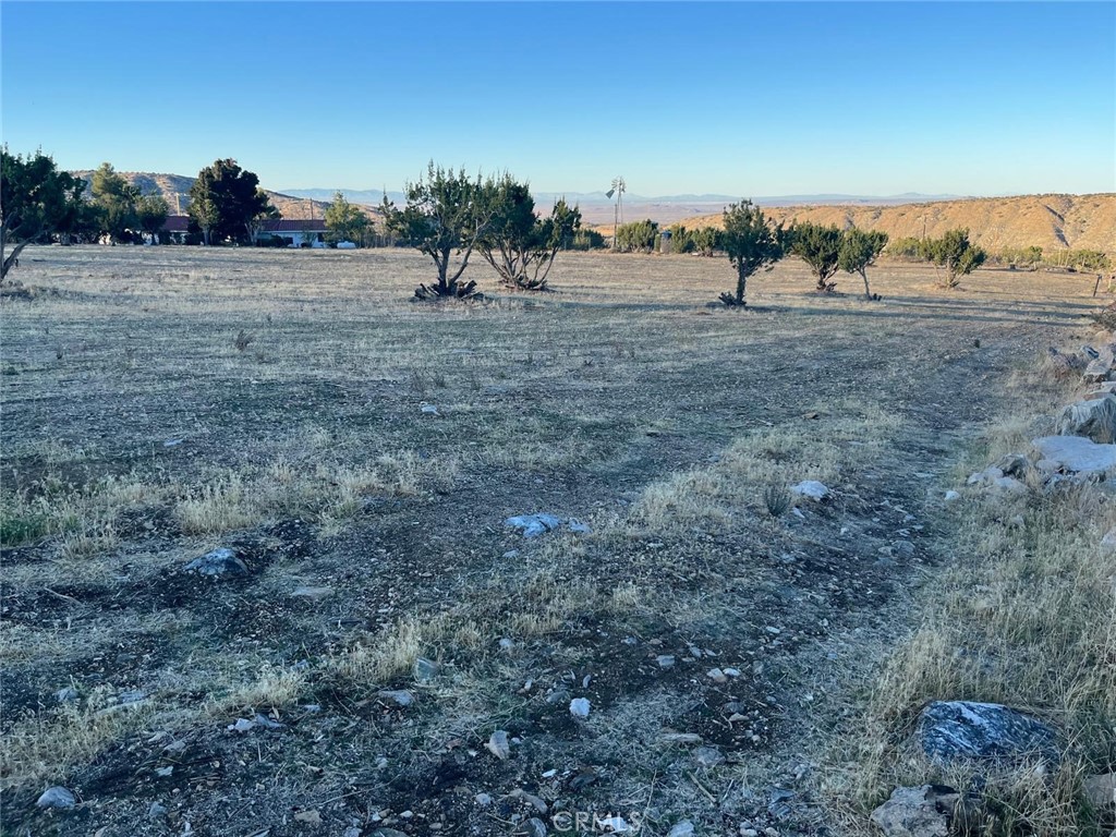 0 Vac/longview Rd/vic Murphys Road Juniper Hills, CA 93543 - Photo 13 of 20 a view of a dry yard with trees