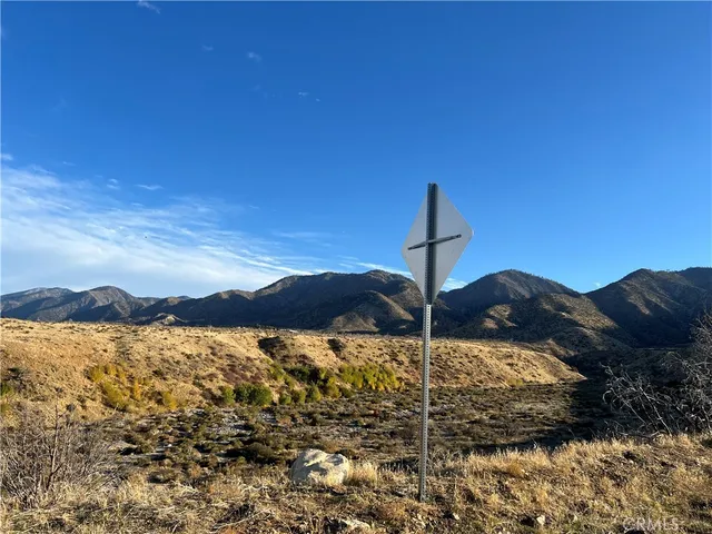 a view of a field with an ocean
