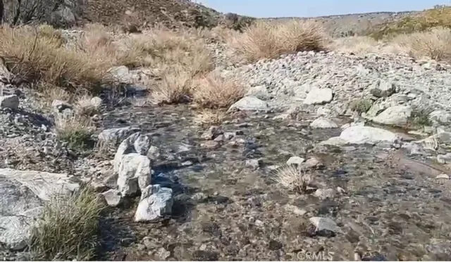a view of a forest of a house