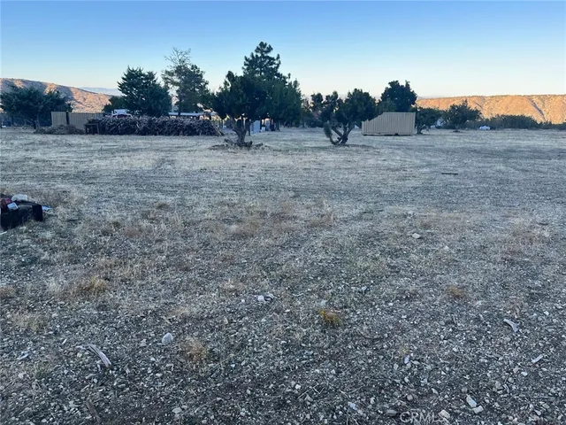 a view of a dry yard with wooden floor