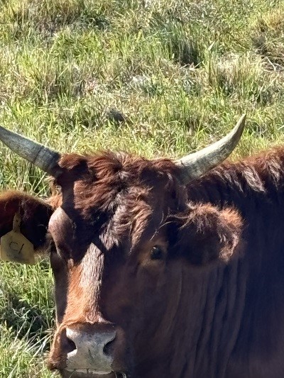 Xxxx Carlton Road Fort Pierce, FL 34945 - Photo 2 of 35