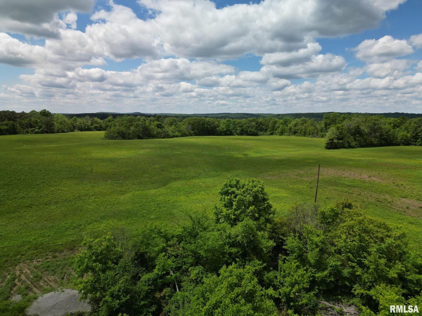 a view of a field with an trees
