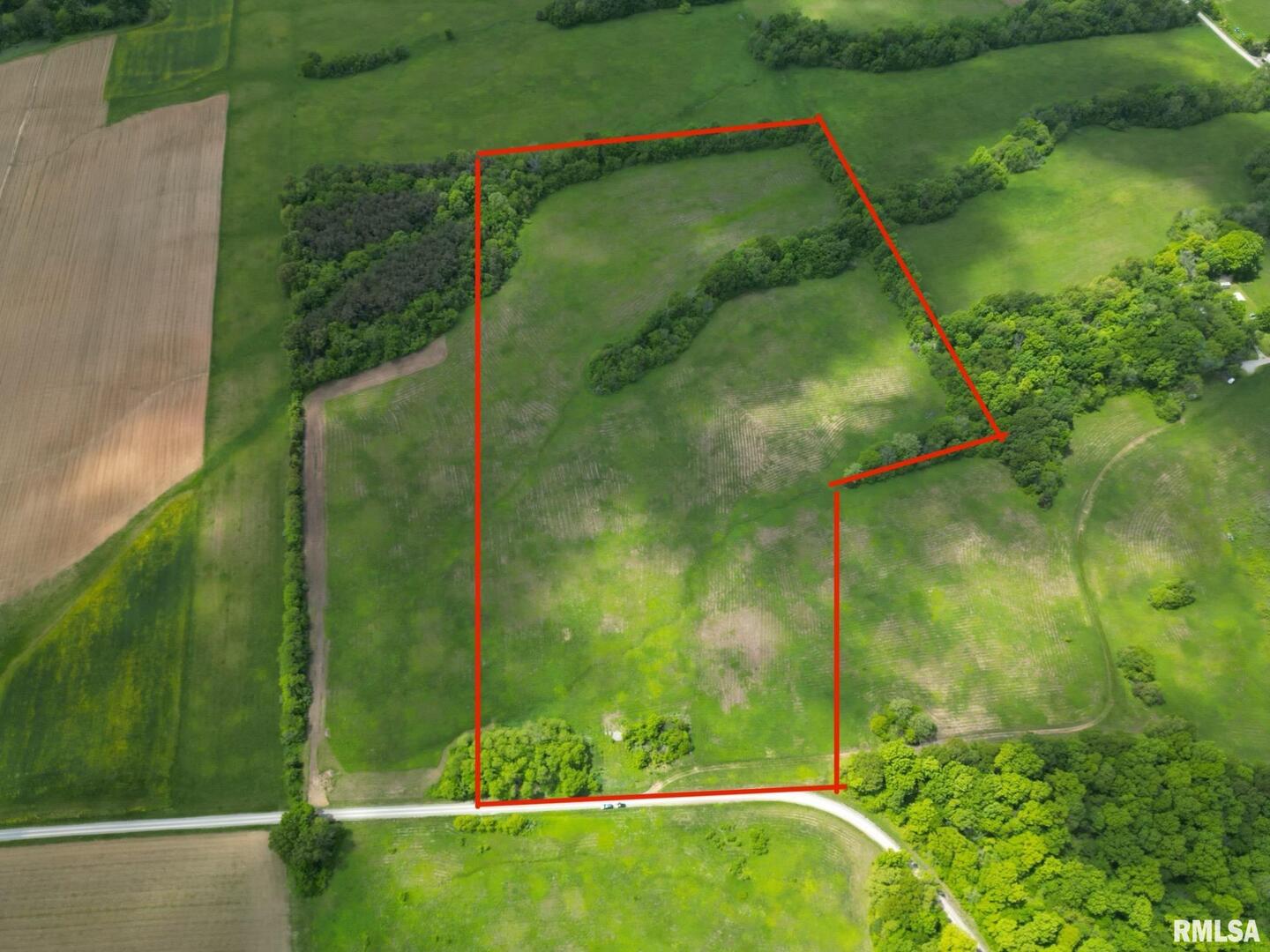 0 Bert Road Simpson, IL 62985 - Photo 4 of 4 a view of a yard