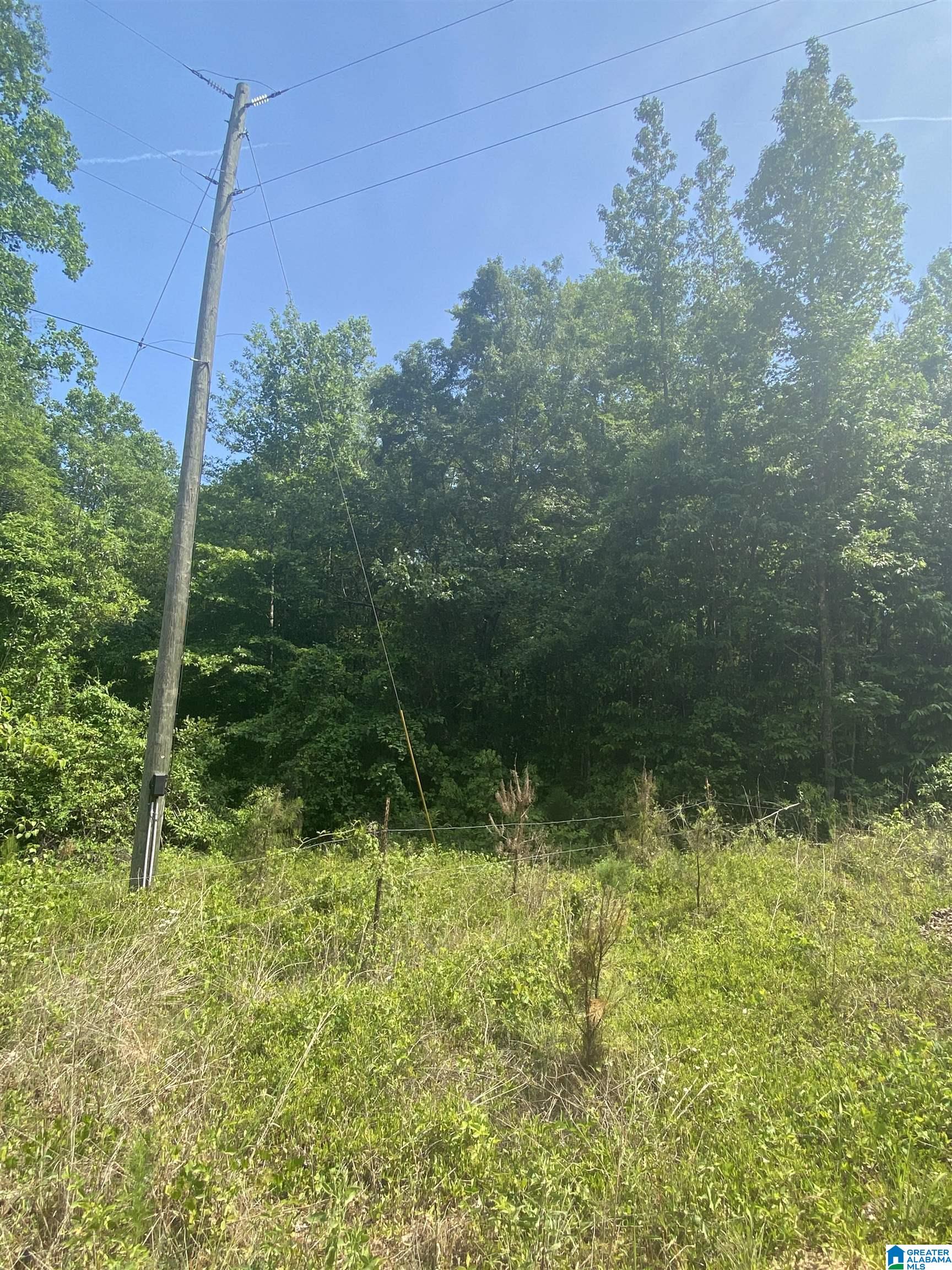 0 County Road 247, Unit 1 Clanton, AL 35045 - Photo 1 of 1
