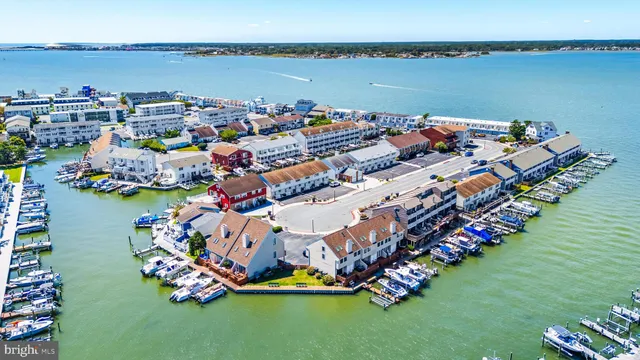 a view of a city and ocean view