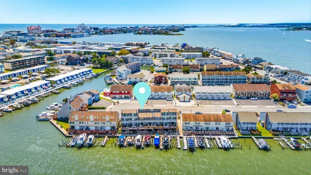 a view of city with ocean