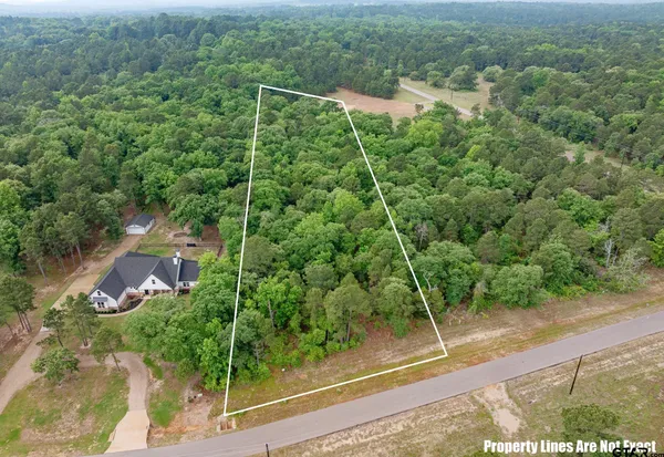 $175,000 | 3121 Shadow Pine Drive, Larue, TX 75770