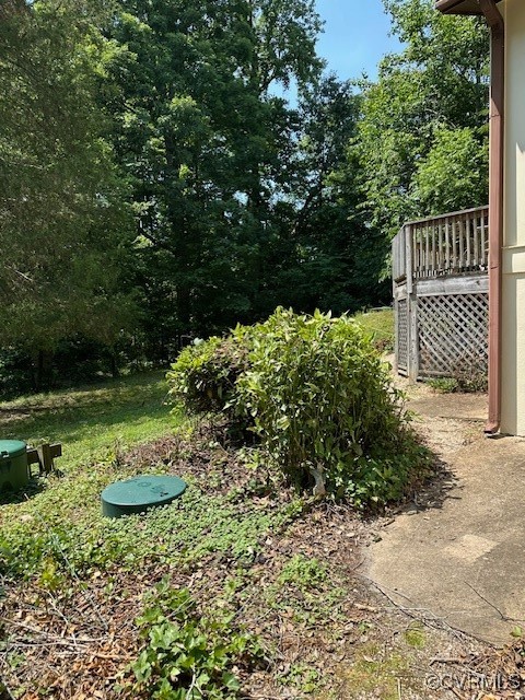 5216 Hemlock Road Quinton, VA 23141 - Photo 12 of 21 View of yard