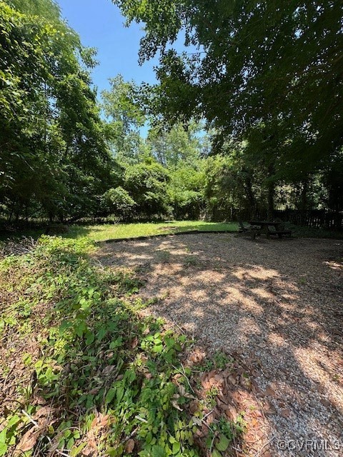 5216 Hemlock Road Quinton, VA 23141 - Photo 13 of 21 View of yard