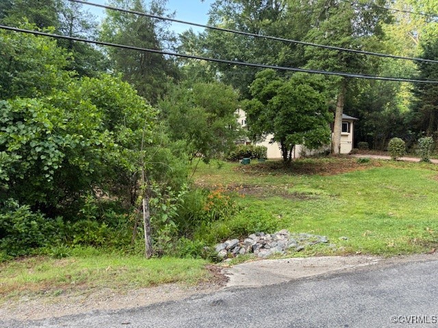 5216 Hemlock Road Quinton, VA 23141 - Photo 17 of 21 View of yard