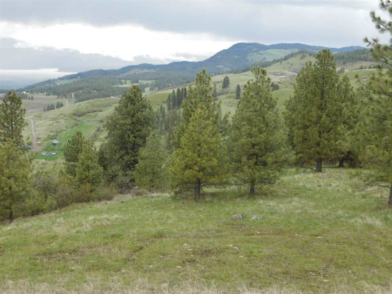 3416 Spirit Ridge Way Rice, WA 99167 - Photo 12 of 13