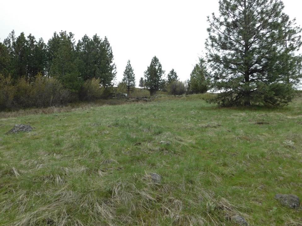 3416 Spirit Ridge Way Rice, WA 99167 - Photo 13 of 13