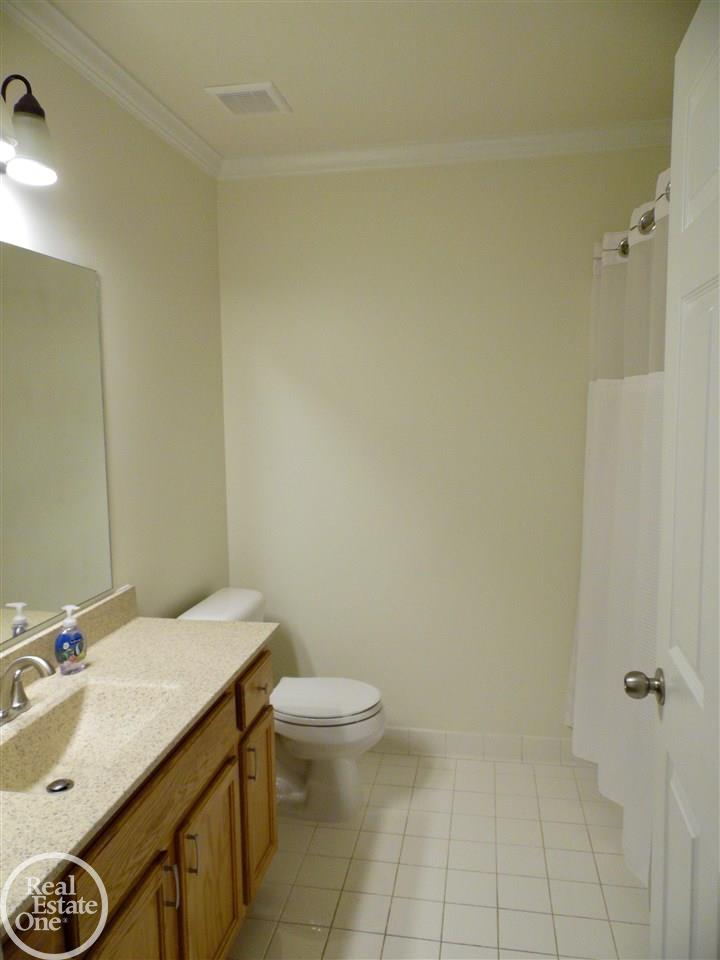 46099 Rhodes Drive Macomb, MI 48044 - Photo 18 of 30 Main Bath
