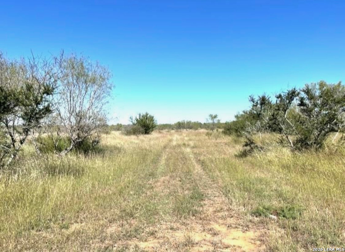 3968 Bluntzer Road Jourdanton, TX 78026 - Photo 22 of 39
