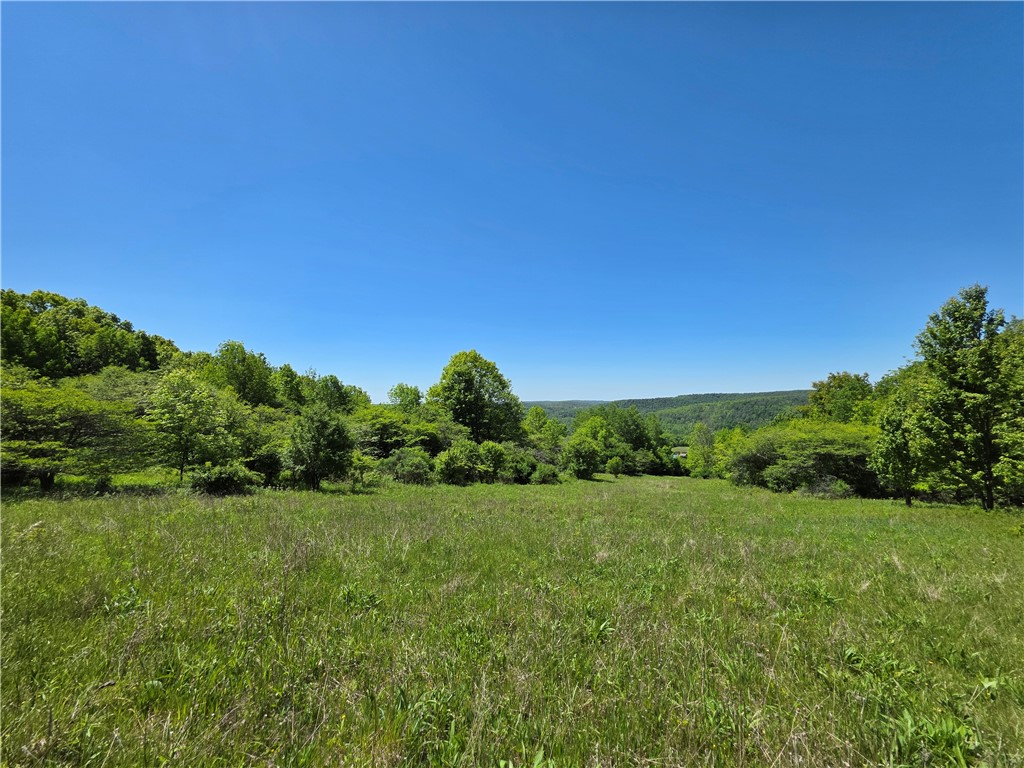 1069 Bollen Road, Unit 1066 Troupsburg, NY 14885 - Photo 45 of 50