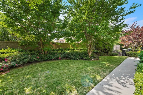 a view of a garden with a tree