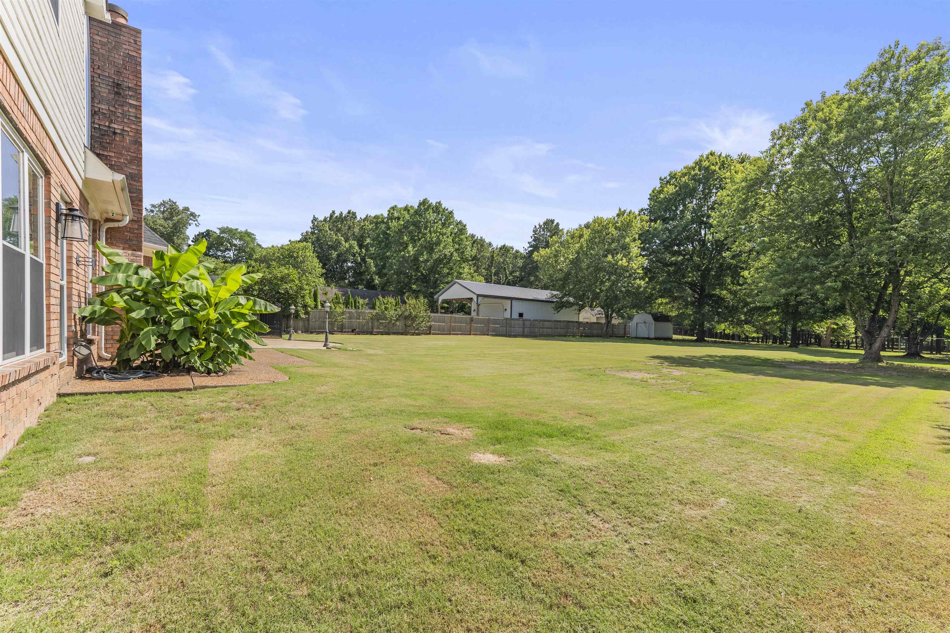4279 High Plains Road Bartlett, TN 38135 - Photo 29 of 37 Expansive grassy yard featuring mature trees, a wooden privacy fence, and a detached storage shed