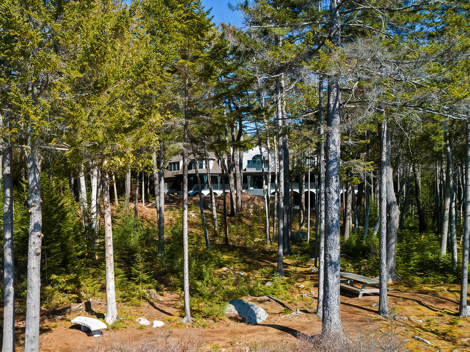 320-330 Sound Drive Mount Desert, ME 04660 - Photo 62 of 68 New View from Water to House-25)