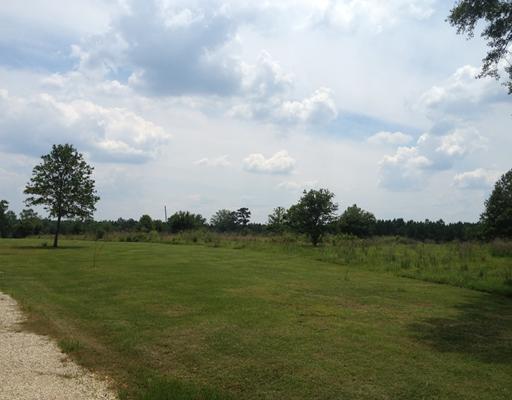 18466 Neal Road Loranger, LA 70446 - Photo 1 of 1